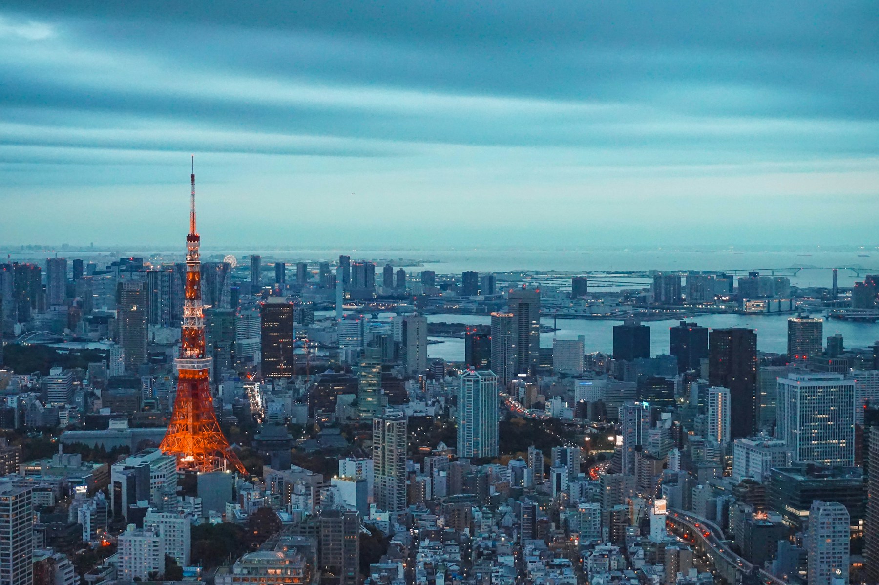 东京城市夜景与点亮的东京塔